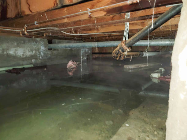 Best Ceiling water damage repair  in Valinda, CA