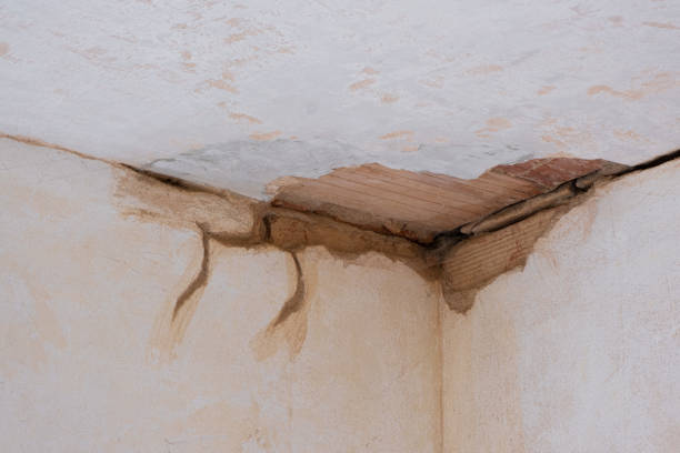 Best Carpet water damage restoration  in Valinda, CA