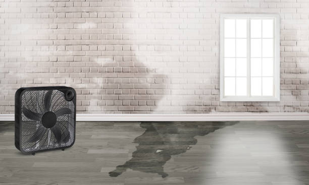Best Water damage cleanup near me  in Valinda, CA