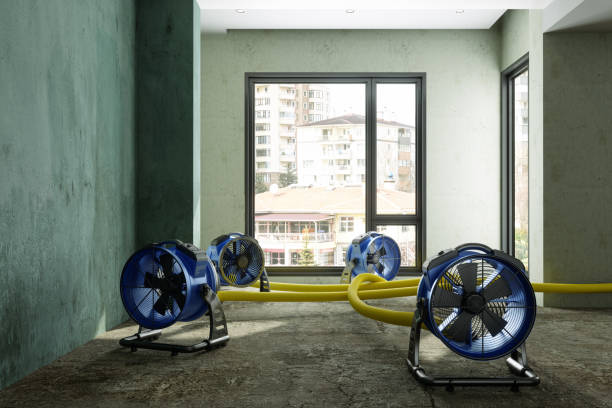 Best Sewage cleanup and water damage restoration  in Valinda, CA